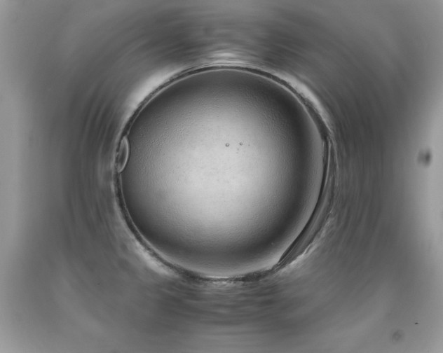 X0000091921333200709051432