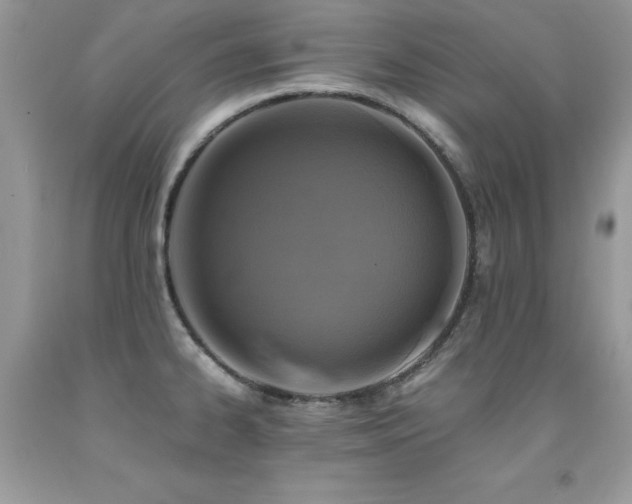 X0000091921334200709051432