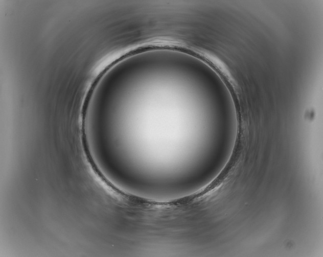 X0000091921335200709051432