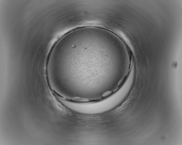 X0000091921336200709051432