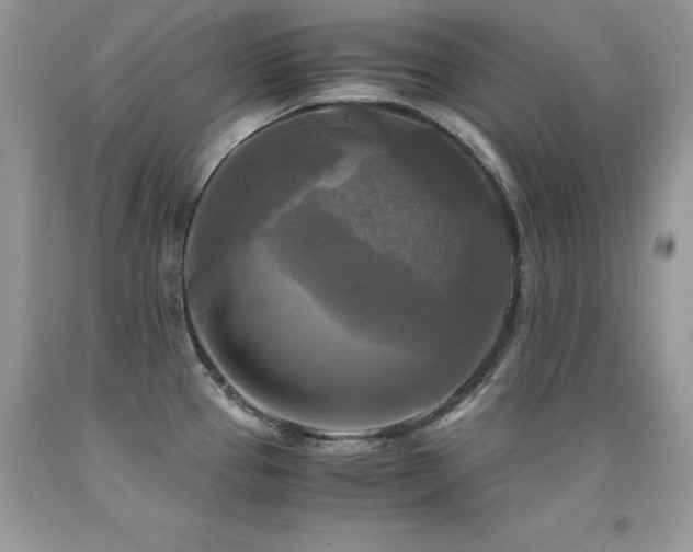 X0000091921337200709051432
