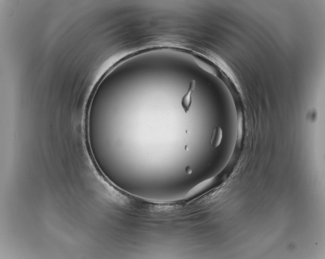 X0000091921339200709051432