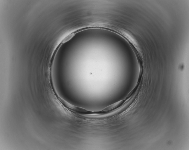 X0000091921340200709051432
