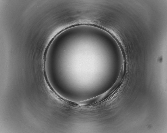 X0000091921342200709051432