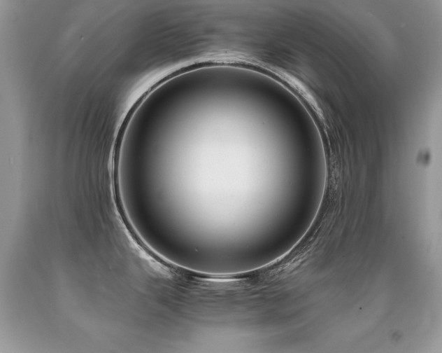 X0000091921343200709051432