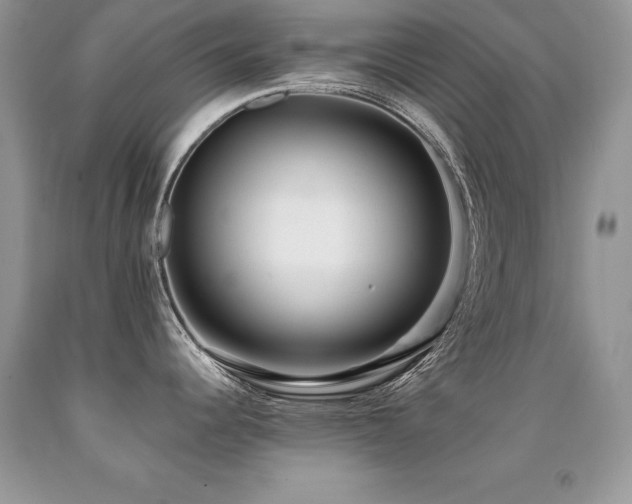 X0000091921344200709051432