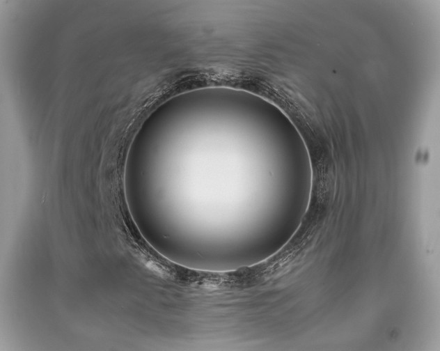 X0000091921345200709051431