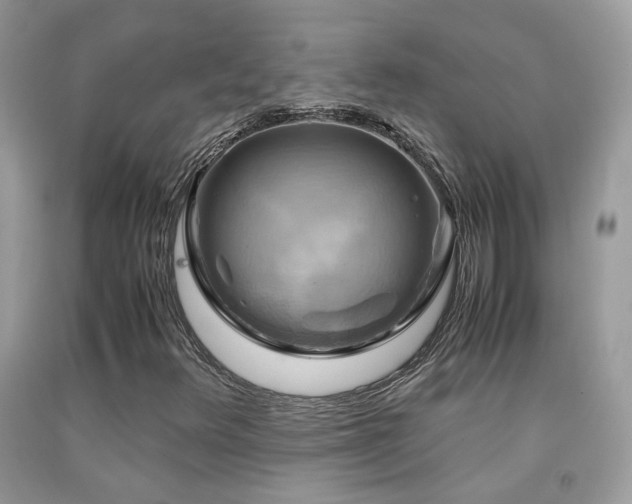 X0000091921348200709051431