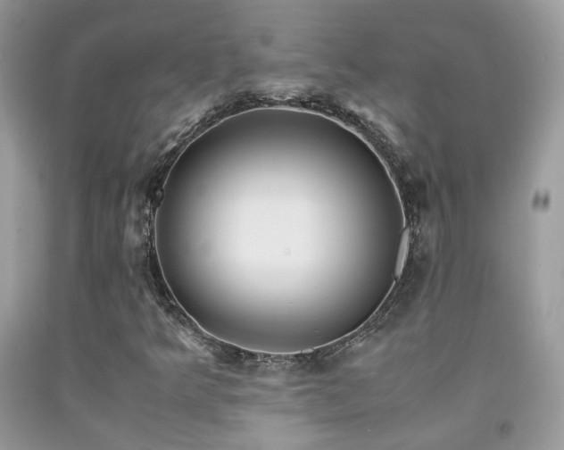 X0000091921349200709051431