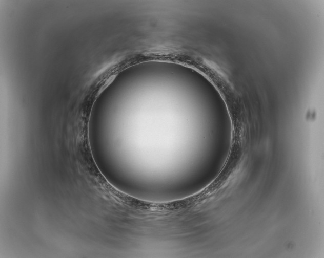 X0000091921350200709051431