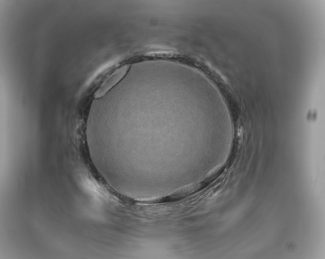 X0000091921351200709051431