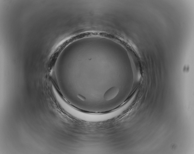 X0000091921352200709051431