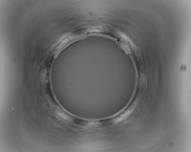 X0000091921353200709051431