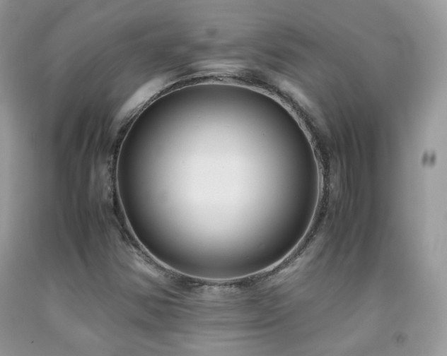 X0000091921354200709051431