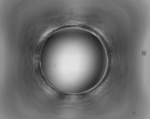 X0000091921355200709051431