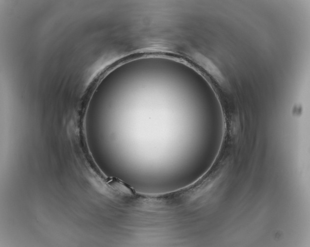 X0000091921356200709051431