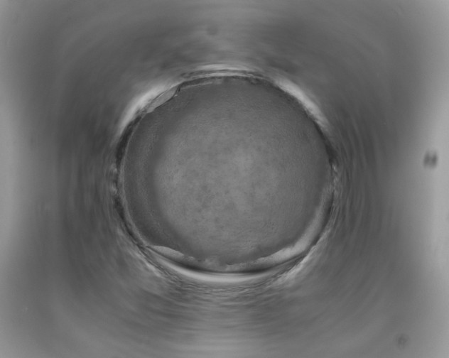 X0000091921357200709051431