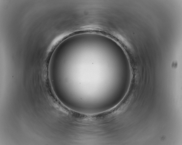 X0000091921358200709051431