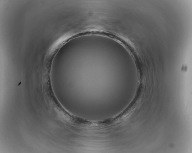 X0000091921359200709051431