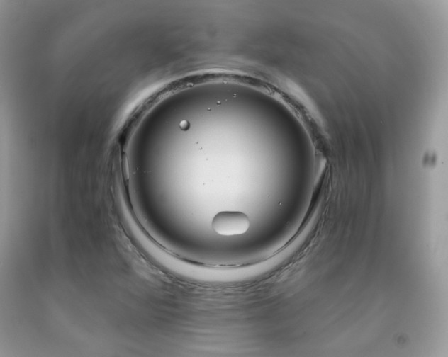 X0000091921360200709051431