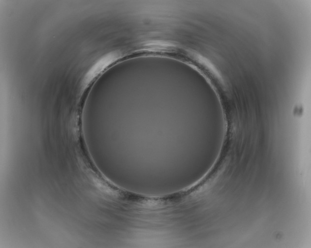 X0000091921362200709051431