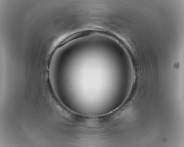 X0000091921363200709051431