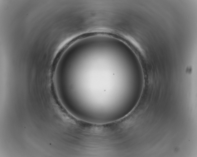 X0000091921364200709051431