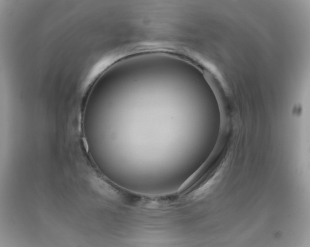 X0000091921365200709051431