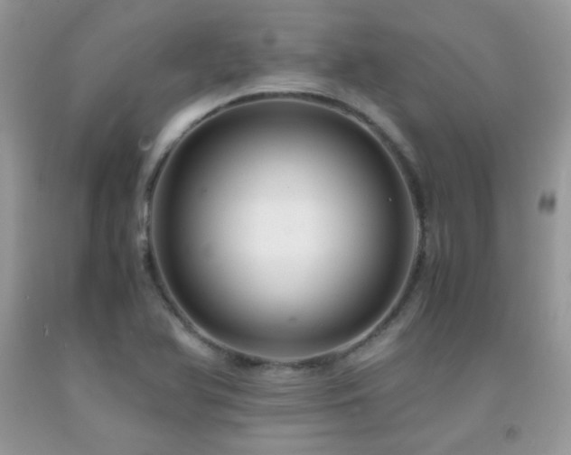 X0000091921366200709051431