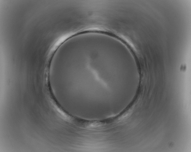 X0000091921367200709051431