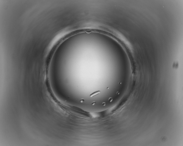 X0000091921368200709051431