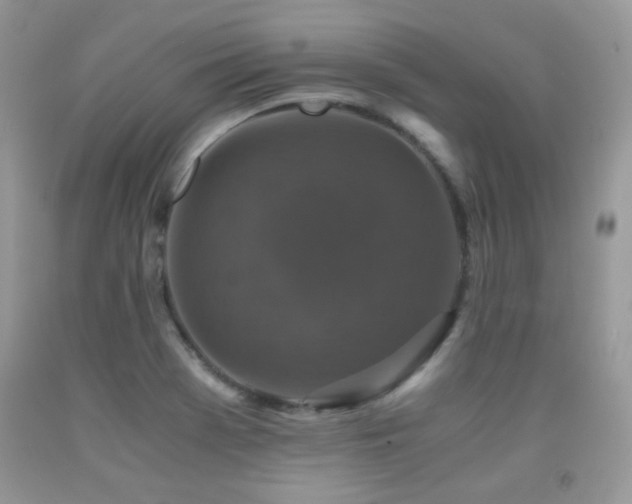 X0000091921369200709051431