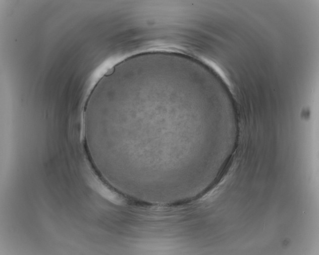 X0000091921371200709051431