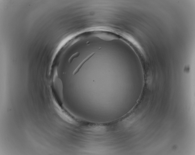 X0000091921372200709051431