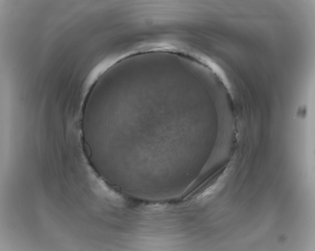 X0000091921373200709051431