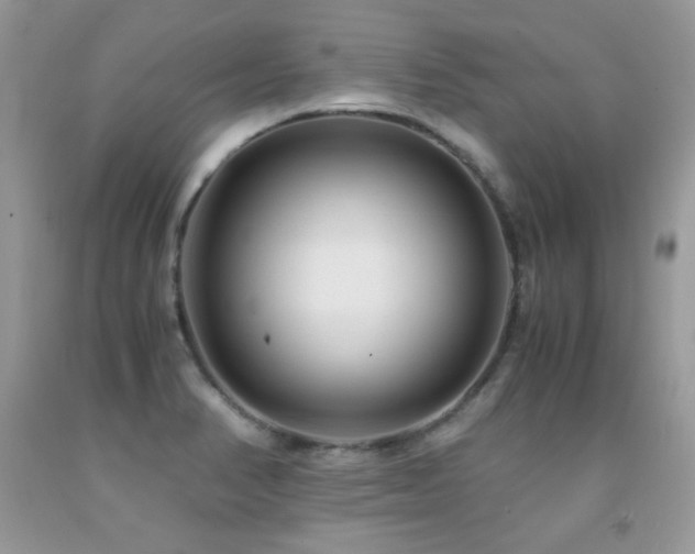X0000091921374200709051431