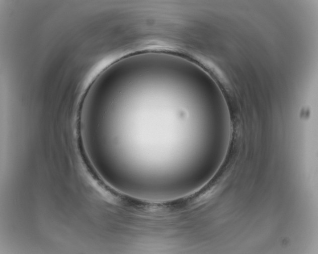 X0000091921375200709051431