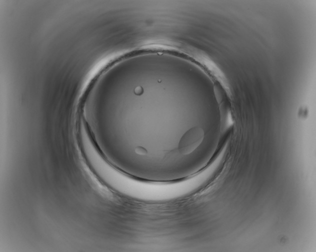 X0000091921376200709051431