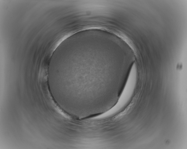 X0000091921377200709051431