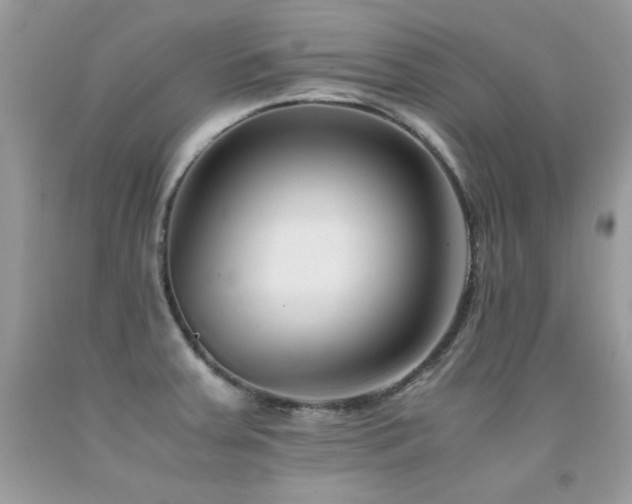 X0000091921379200709051431
