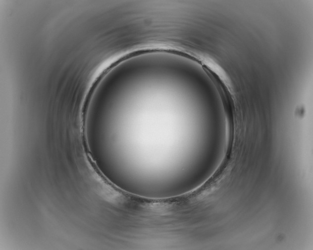 X0000091921380200709051431