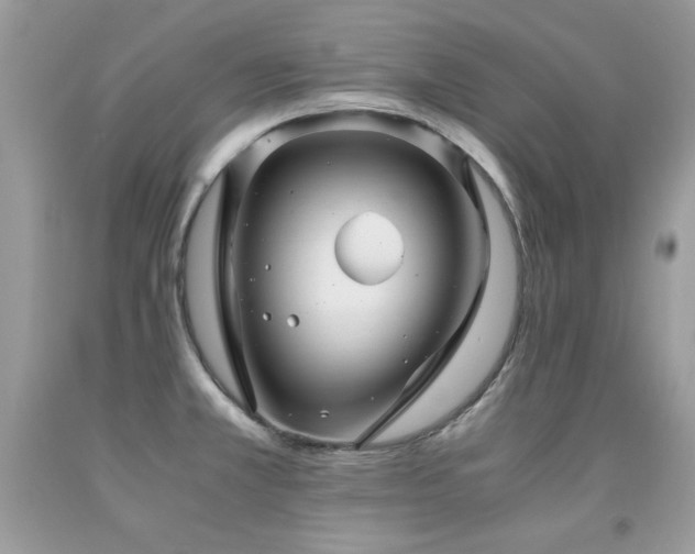 X0000091921381200709051431