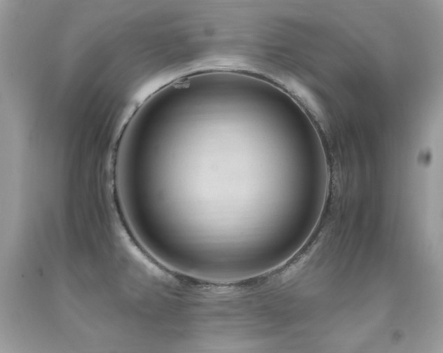 X0000091921382200709051431