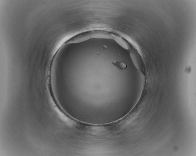 X0000091921383200709051431