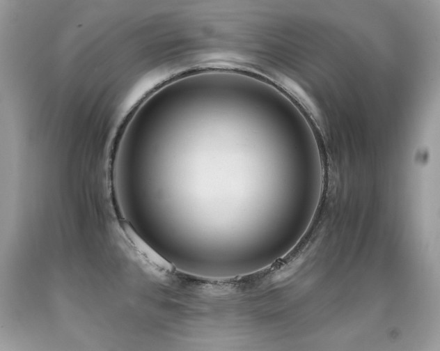 X0000091921384200709051431