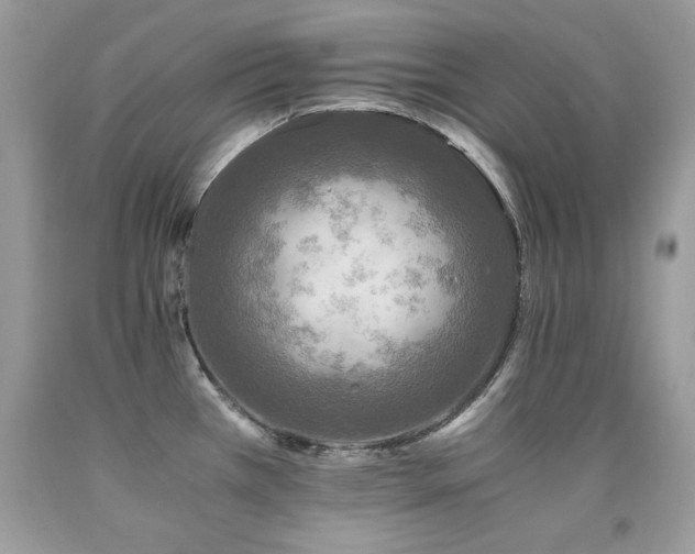 X0000091921385200709051431