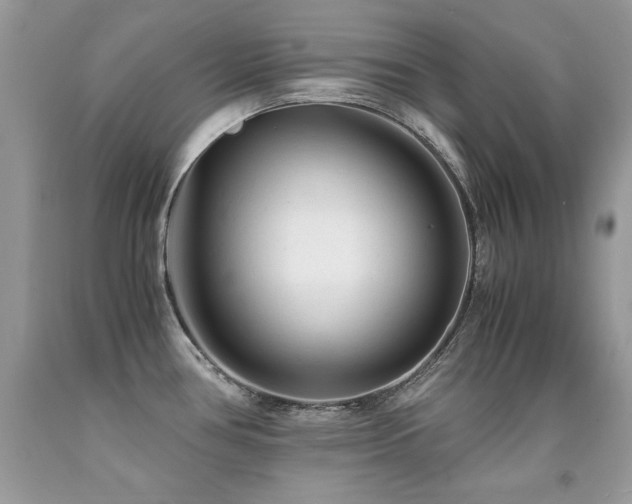 X0000091921386200709051431