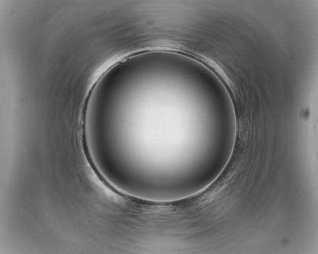 X0000091921387200709051431