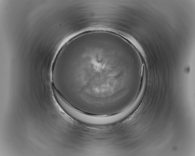 X0000091921388200709051431