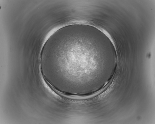 X0000091921389200709051431